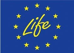 Life logo